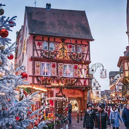 Le Rosacker - Proche Centre Ville Et Gare - Terrasse - Parking Gratuit 2 Places - 2 Chambres - 2 Salles De Bain - Netflix Colmar Exteriör bild
