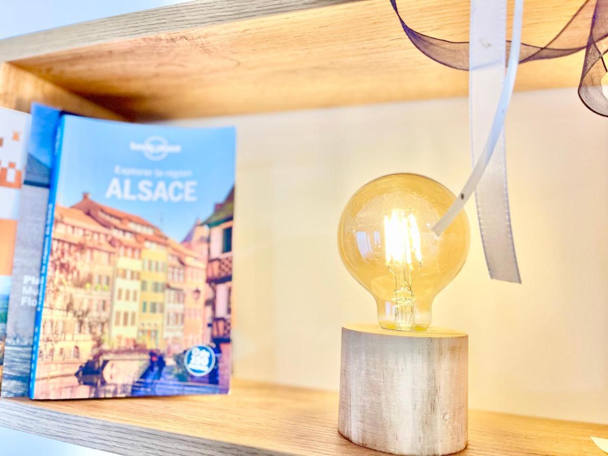 Le Rosacker - Proche Centre Ville Et Gare - Terrasse - Parking Gratuit 2 Places - 2 Chambres - 2 Salles De Bain - Netflix Colmar Exteriör bild